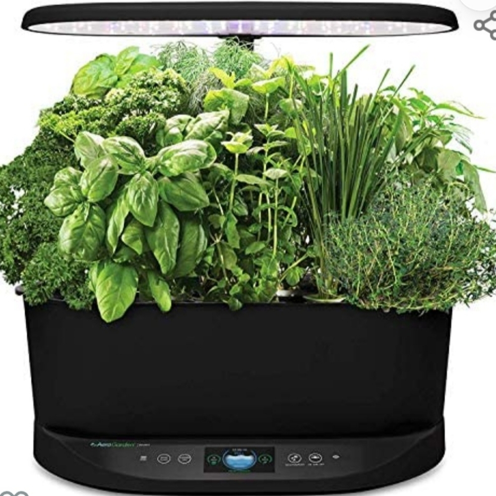 Indoor Garden